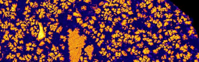 Rare Meteorite May Be Evidence of a Lost Planet That Never Fully Formed