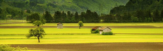 Rethink Ireland announces €600,000 Rural Recovery Fund Awardees