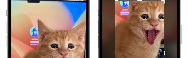iOS 17 Photos App Features One-Tap Crop Button When Zooming In