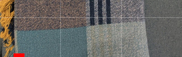 Your Pixel Pro camera has a lesser-known viewfinder trick you may have missed