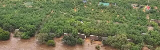 Kruger National Park in South Africa Flooded as Scientists Link Extreme Rainfall to Climate Change