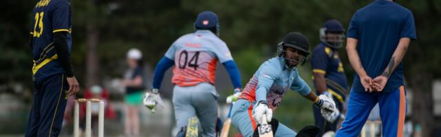 Don’t understand cricket? Here’s a primer