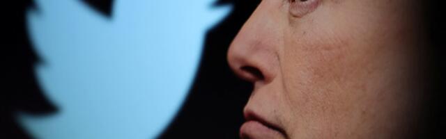 Musk verdict suggests US shareholders are stepping into the regulatory void