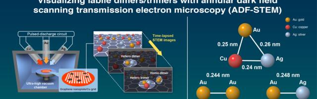 Study Shows Real-time Imaging of Dynamic Short-lived Molecules