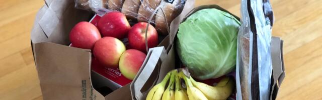 The Rise and Fall of Getir: A Startup’s Journey in the Grocery Delivery Space