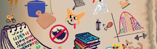 Мобильное приложение DogPlanner. Перезагрузка…