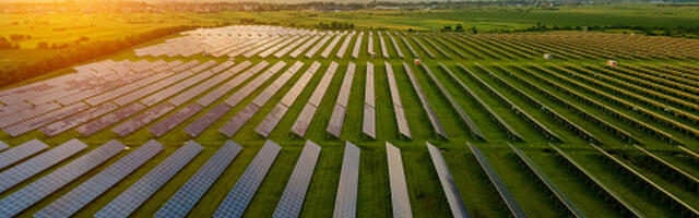 US Solar Farms Are Doing A Lot More Than Just Generating Energy