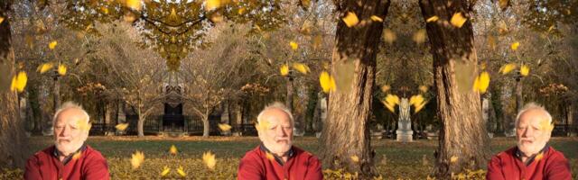 Hide the Pain Harold’s new autumn ‘stock photos’ perfectly capture your dark day blues