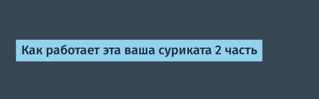 Как работает эта ваша суриката 2 часть