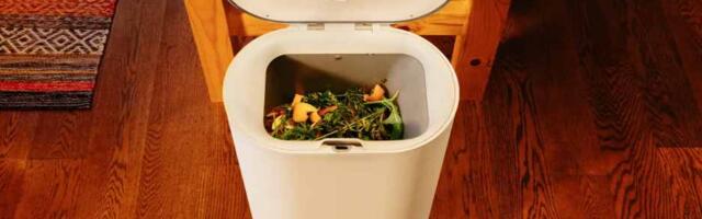 Nest co-founder launches Mill, a sustainable kitchen bin that turns food scraps into chicken feed to combat food waste