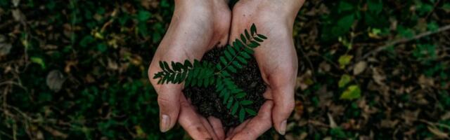 Denmark's Klimate secures €3.5M Seed funding for carbon removal platform