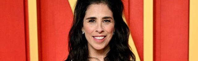 Sarah Silverman says her lawsuit against OpenAI is difficult because the company is one of the 'richest entities in the world'