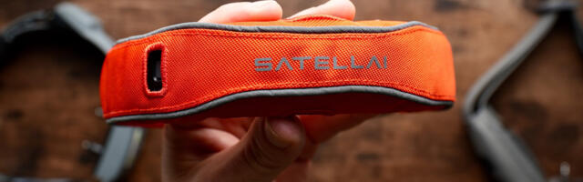 SATELLAI Collar vs Halo Collar 4 vs SpotOn: Which GPS dog collar performs best?