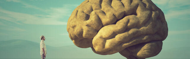 Computer chips powered by human brain cells already exist — but is it ethical?