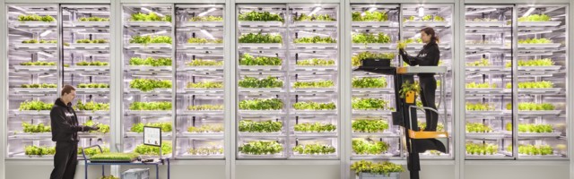 Vertical farming startup Infarm raises $170m