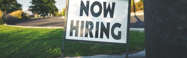 Startup hiring in the pandemic: the unicorns, compared