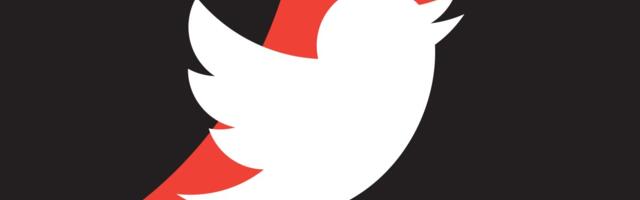 The hunt for the next Twitter: all the news about alternative social media platforms