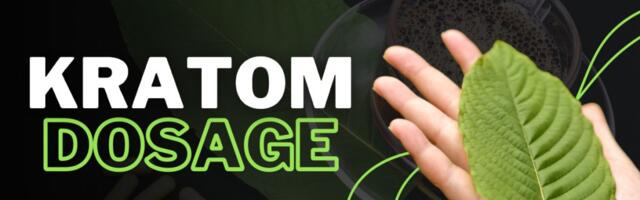 Kratom Dosage Guide: How Much Kratom Should I Take for Best Results?