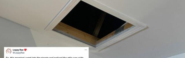 This artist's terrifying story about a man in their attic is going viral