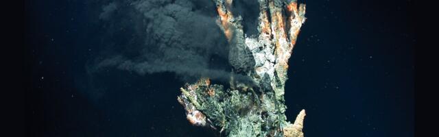 Dinosaur Doomsday Crater Became an Ocean Oasis for 700,000 Years