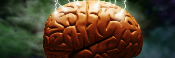 Udemy and altMBA co-founders return to edtech with a new, stealthy business