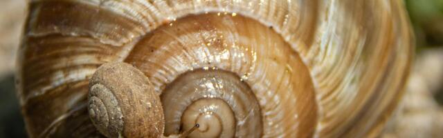 Home insurance pitfalls to avoid, homeowners potentially underinsuring