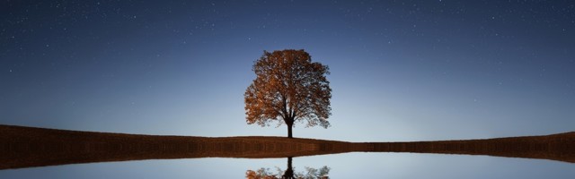 Startup Culture is a Reflection of its Founders