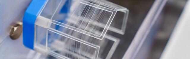 PrintyMed spins a web of innovation with bio-friendly spider silk