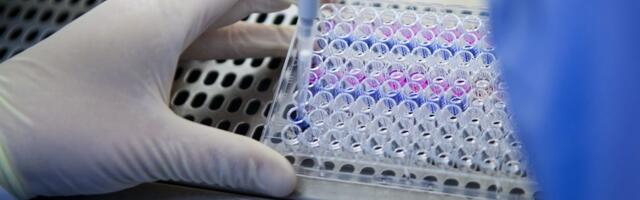 Bogus research is undermining good science, slowing lifesaving research