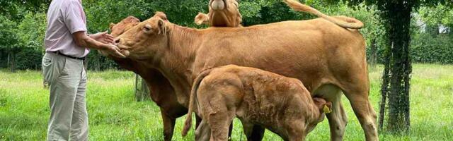 Dutch-based Mosa Meat’s crowdfunding campaign surpasses €1.5M goal in just 24 minutes