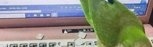 AGI: почему его не будет, и какую модель мы можем сделать вместо него?