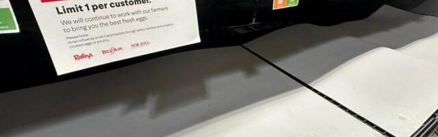 Egg shortage due to avian flu expected to ease by 2025, says USDA