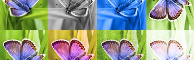 New portal calls out AI content with Google’s watermark