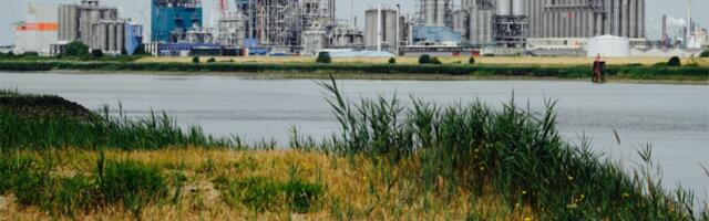 Poland's Apeiron Synthesis raises $4.8 million to ramp up production of olefin-based manufacturing catalysts