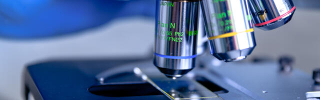 Investors write £5.6m cheque to Pencil Biosciences