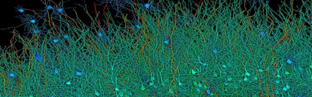 Full scan of 1 cubic millimeter of brain tissue took 1.4 petabytes of data, equivalent to 14,000 full-length 4K movies