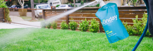 Lawn startup Sunday raises millions to help you with your backyard