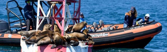 Plans for virtual buoys to replace some markers outside California harbors raised concerns