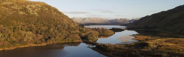 AI Adoption in Irish Small Firms: Work In Progress