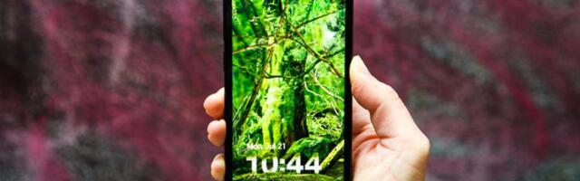 Amazon Reportedly Planning Alexa-Focused Phone for Shopping and AI