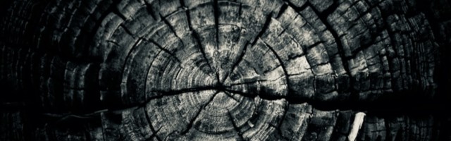 When am I “Too Old” to Launch a Startup?