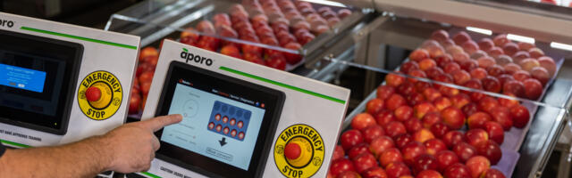 Fruit packing robot dramatically cuts packhouse labor needs 