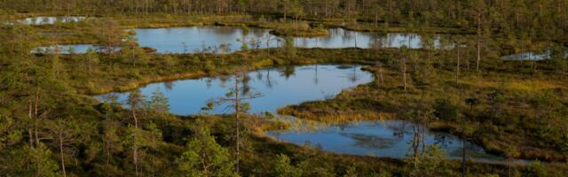 Peatland restoration project wins SciFest 2023