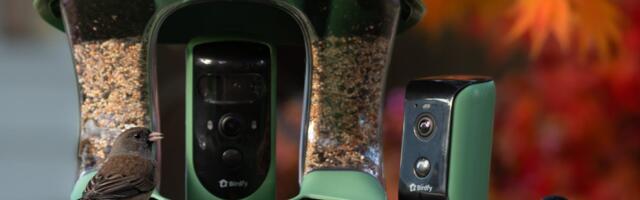 Birdfy Debuts Camera-Equipped Bird Bath and Multi-Camera Bird Feeder