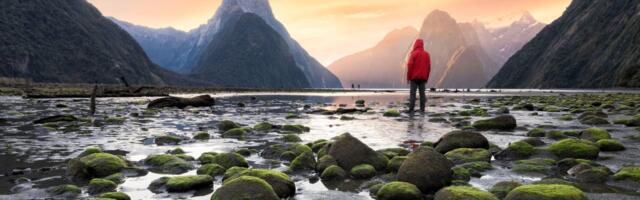 New Zealand makes it easier for digital nomads to work, as it tries to aid its struggling economy