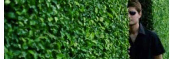 Как общаться в чате с коллегами из IT на английском