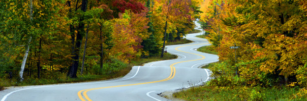 SaaS Ventures takes the investment road less traveled