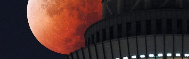 There's a Total Lunar Eclipse Next Week. Here's How to See It