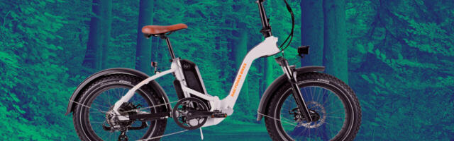 An ode to the RadMini, the Subaru of ebikes