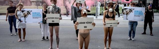 With fur out of fashion, PETA sets its sights on wool, leather and down